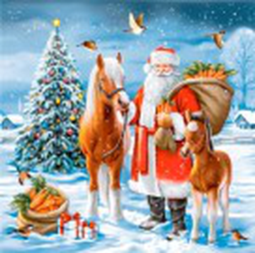 Салфетки бумажные декоративные 20л, Bouquet Home Collection, 3хсл., "Дед мороз с друзьями"/12