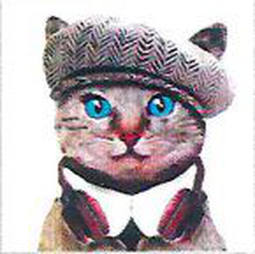 Салфетки Art Bouquet  "Меломан" 33х33 , 3 слоя .20л/вл.12