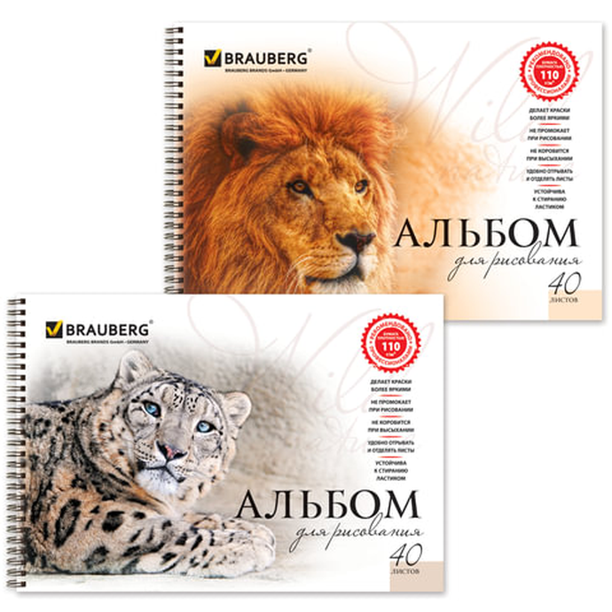 Альбом для рисования А4 40 л., гребень, обложка картон, 205*290мм. Благородные кошки