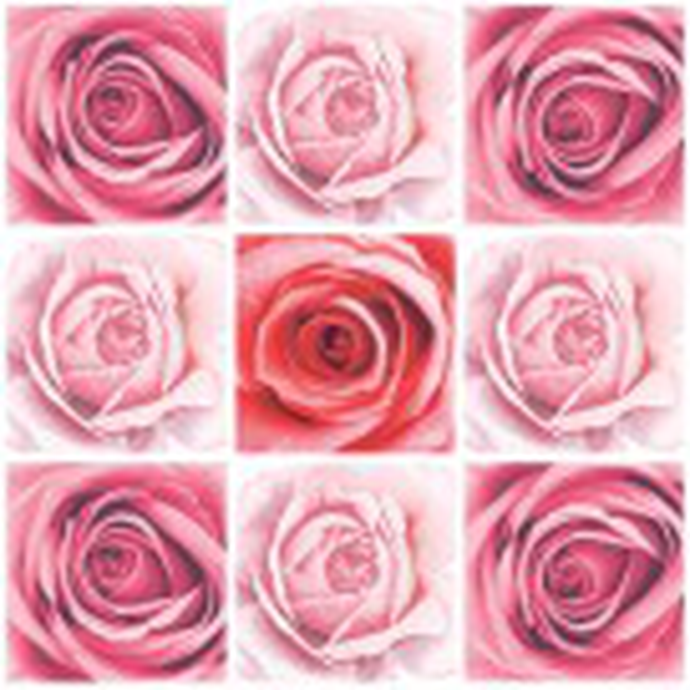 Салфетки бумажные декоративные 33*33, 3сл, 20шт Bouquet Home Collection Classic "Коллаж из роз"/12