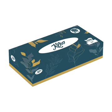 Салфетки бумажные косметические "Kleo", 2 слоя (100 листов 21х21), арт. С489