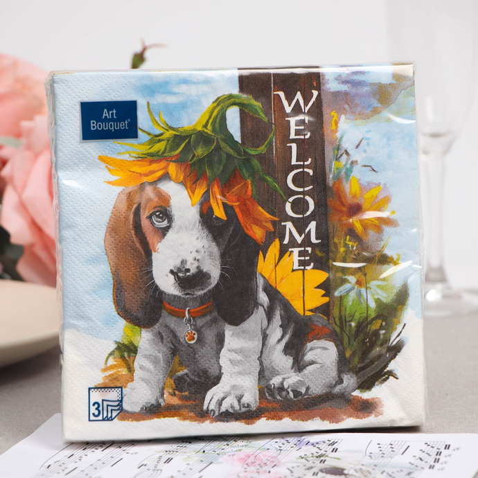 Салфетки Art Bouquet  "Добро пожаловать" 33х33 , 3 слоя .20л/вл.12