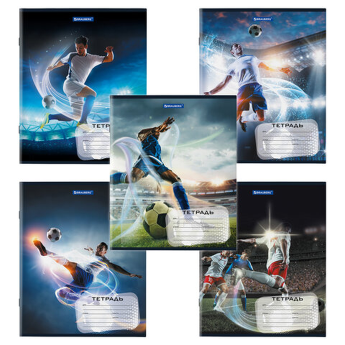 Тетрадь 12 л, клетка, обложка картон