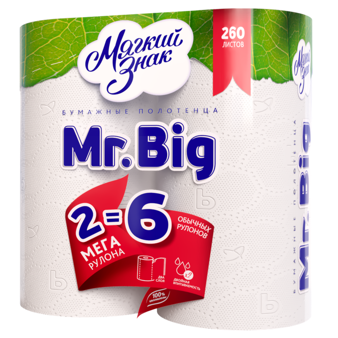 Полотенца бум. Mr .Big 2-сл. 2 рул./вл.12 С32