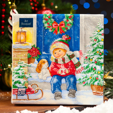 Салфетки Art Bouquet 33*33, 3хсл, 20л. "Пришла зима" /12