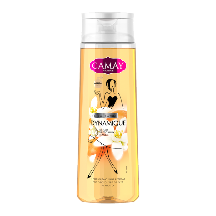КАМЕЙ Гель д/душа   Динамик 250 мл.  *6*12* /288/1728/
