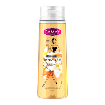 КАМЕЙ Гель д/душа   Динамик 250 мл.  *6*12* /288/1728/