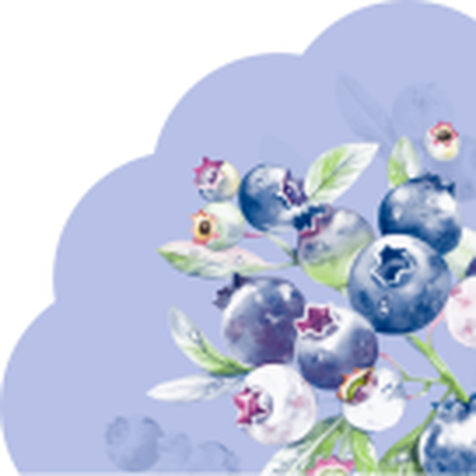 Салфетки бумажные декоративные Ф32см, 3 слоя, 12л Art Bouquet Rondo "Черника.Голубой фон", 3-сл/15